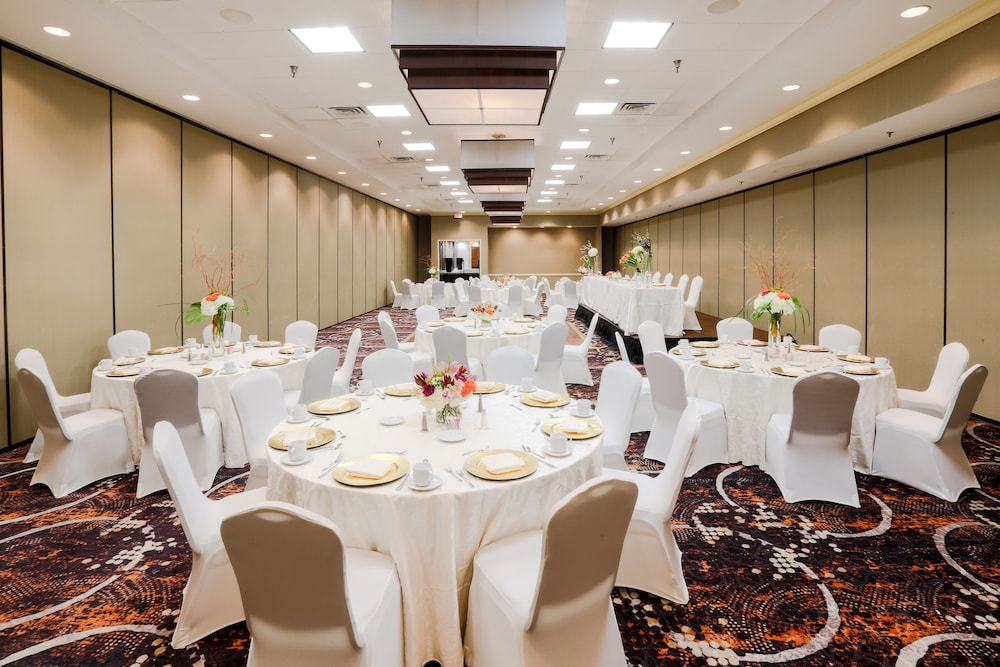 Holiday Inn Austin Midtown by IHG - photo 39