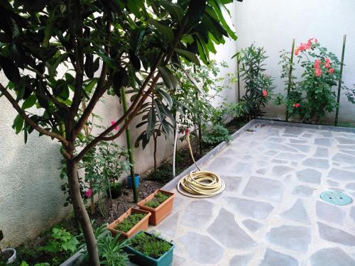 Old City LG Apartments