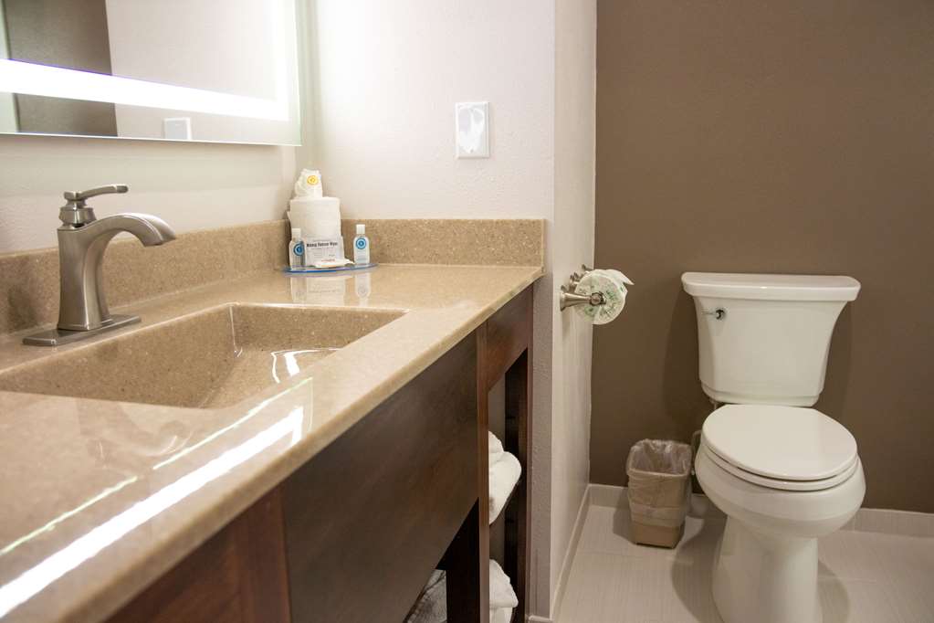Comfort Inn Sioux City South - photo 21