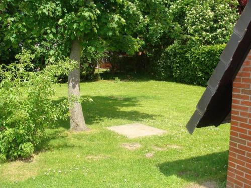 50156… — Wittmund — photo 4