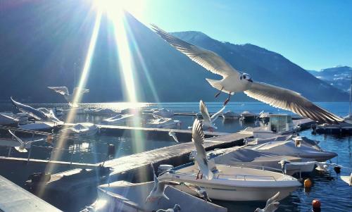 Il Giardino di Lilly — 4-Star Luxury Hotel in Porlezza, Italy