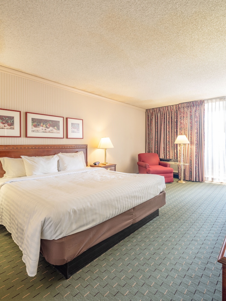 University Place Hotel & Conference Center - photo 6
