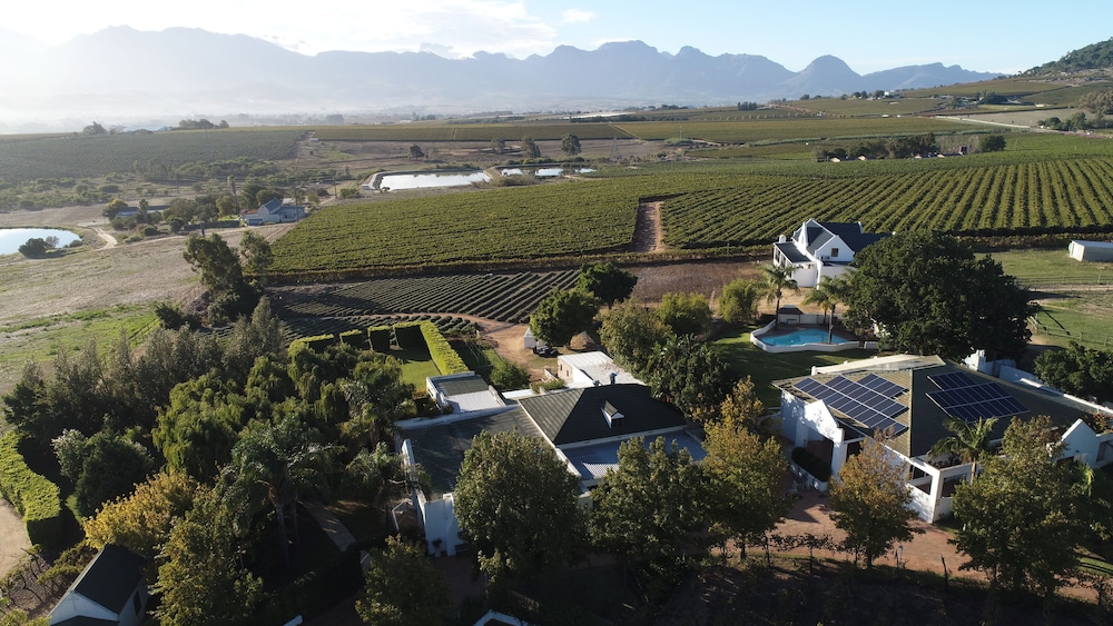 Zonnevanger in Paarl, South Africa