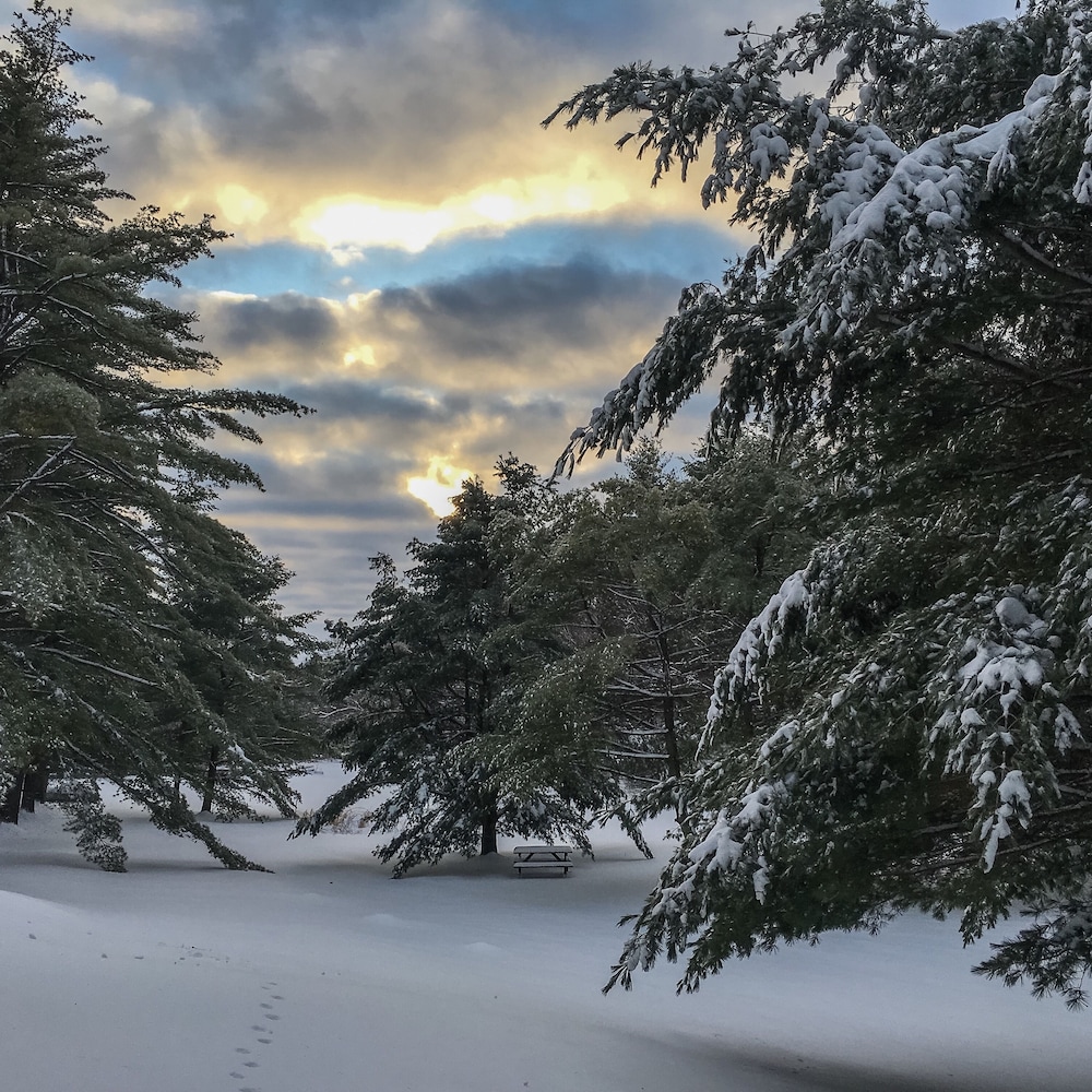 Silver Spruce Resort - photo 11