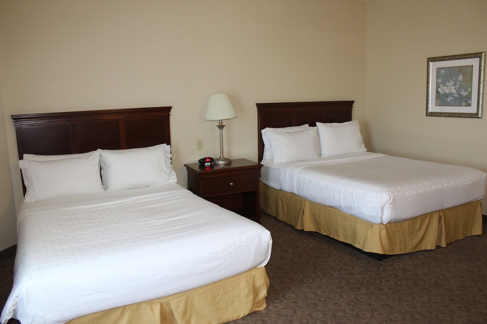 Holiday Inn Express & Suites Dallas Southwest Cedar Hill by IHG - photo 14