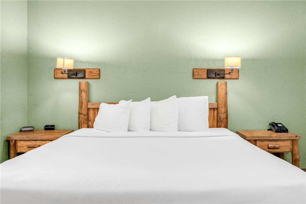 Econo Lodge Custer Crazy Horse Area - photo 39