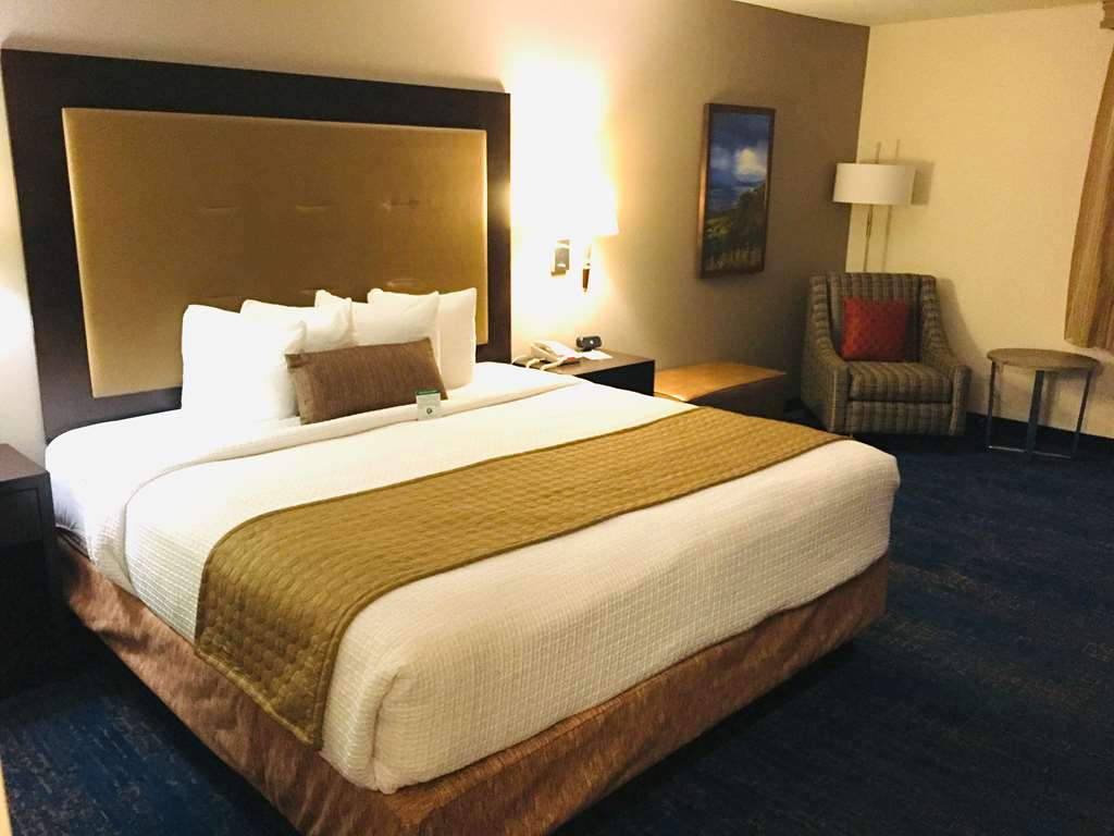 Best Western Plus Portland Airport Hotel & Suites - photo 16
