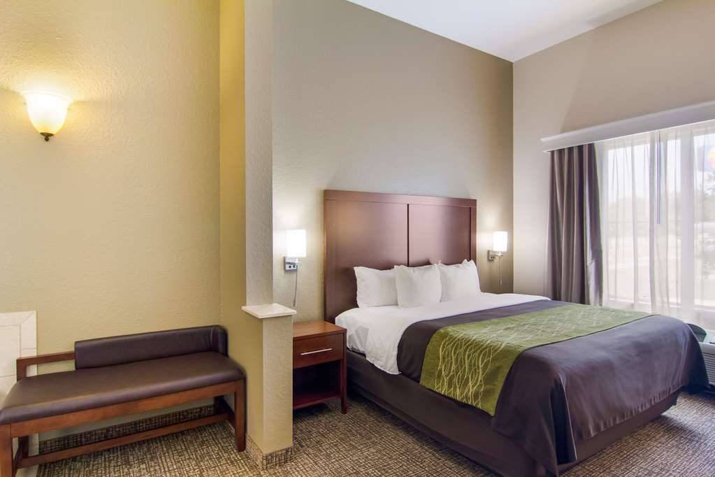 Comfort Inn Blackshear Hwy 84 - photo 14
