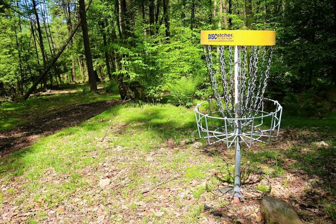 Blue Mountain Resort - photo 14