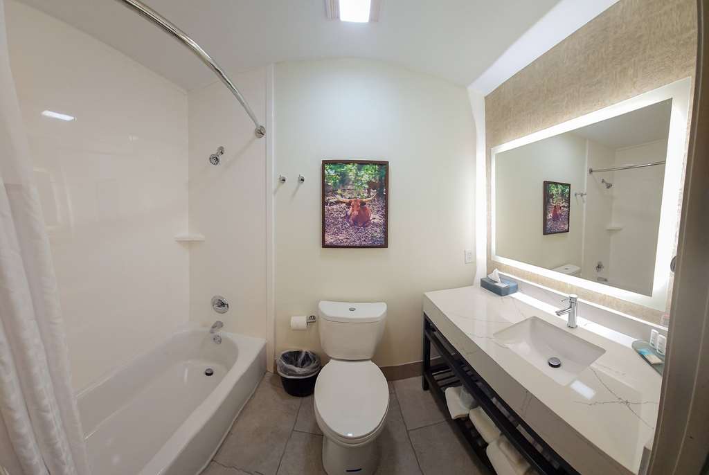 La Quinta Inn & Suites by Wyndham Dallas Mesquite - photo 39