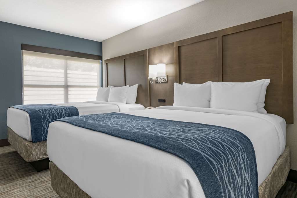 Comfort Inn & Suites Downtown Brickell Port of Miami - photo 6