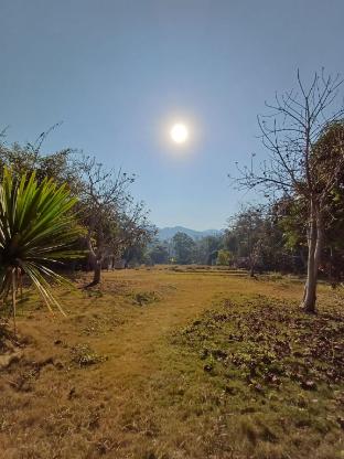 Bamboo Lagoon — Luang Prabang — photo 2