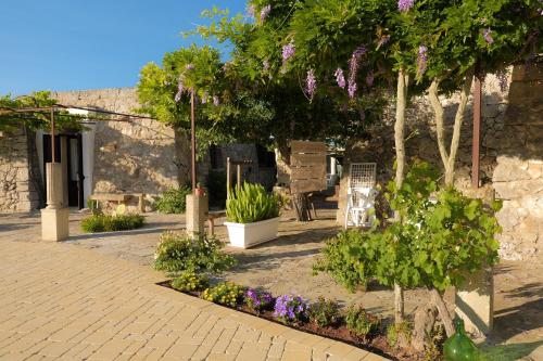 Palacca trullo salentino — hotel in Andrano