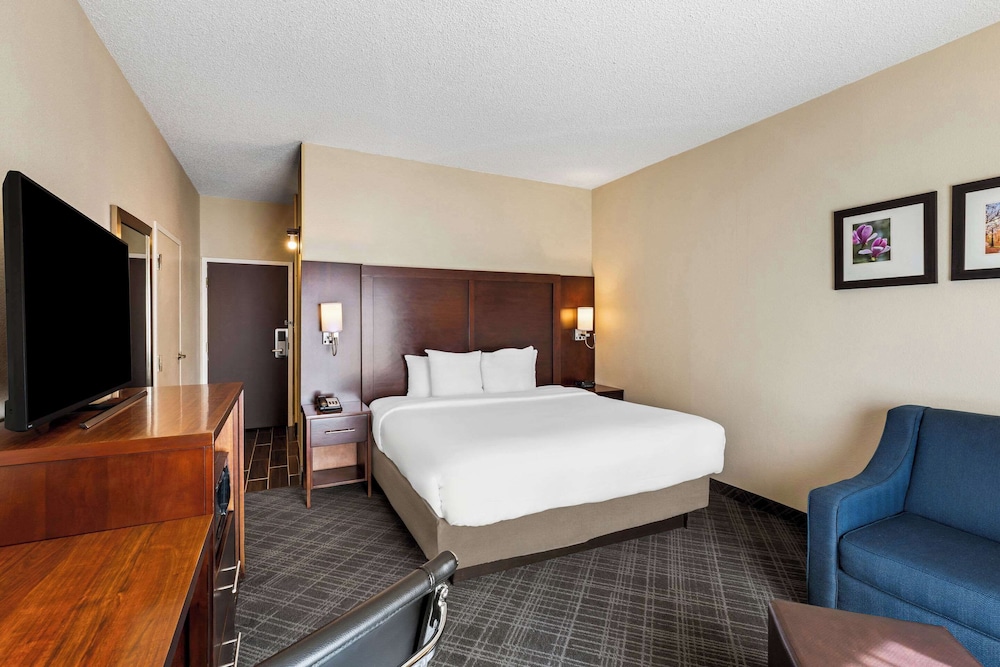 Comfort Inn Roswell Dunwoody - photo 4