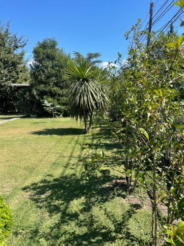 La Elina — Villa General Belgrano — photo 5
