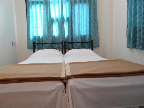 Hotel Dine 11 — Udaipur — photo 4