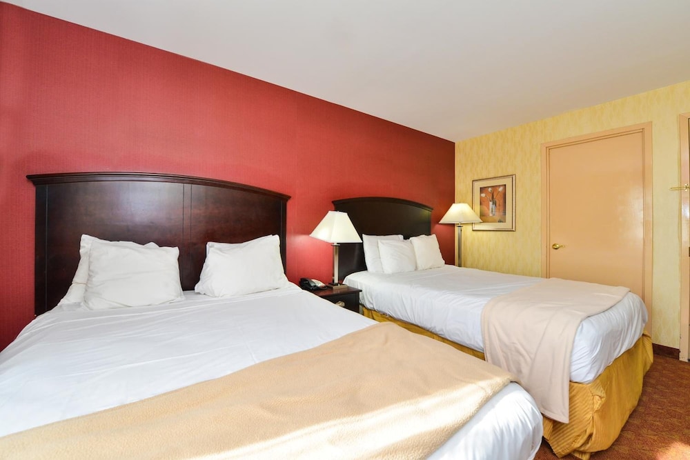 Lex View Inn at JFK Airport - photo 13