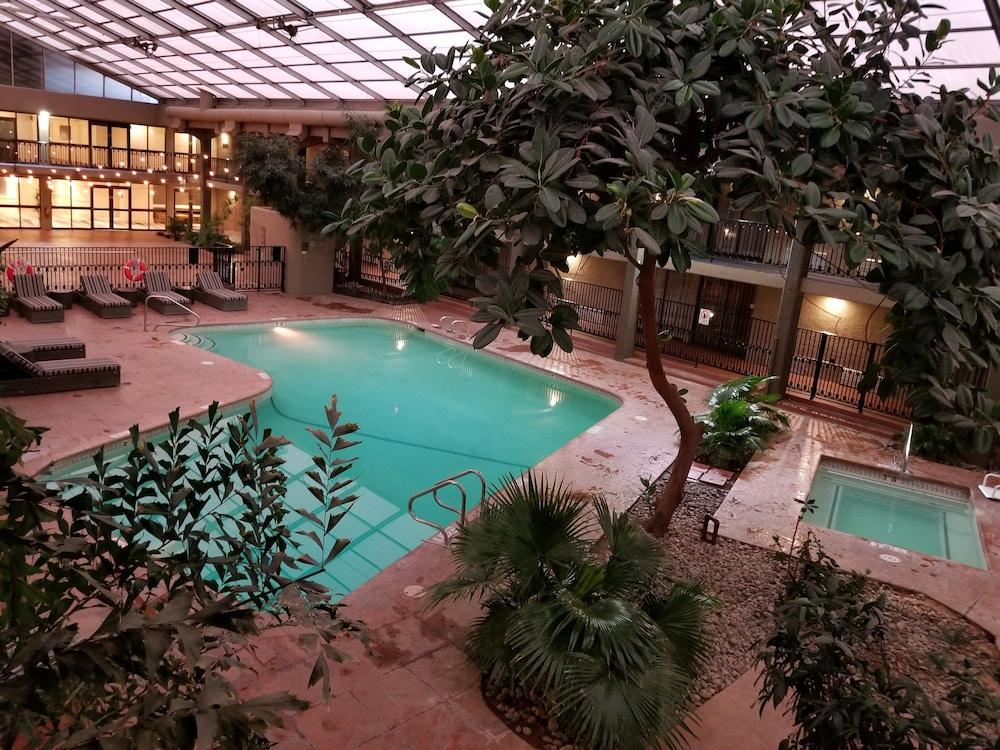 Wyndham Albuquerque Hotel & Conference Center - photo 6