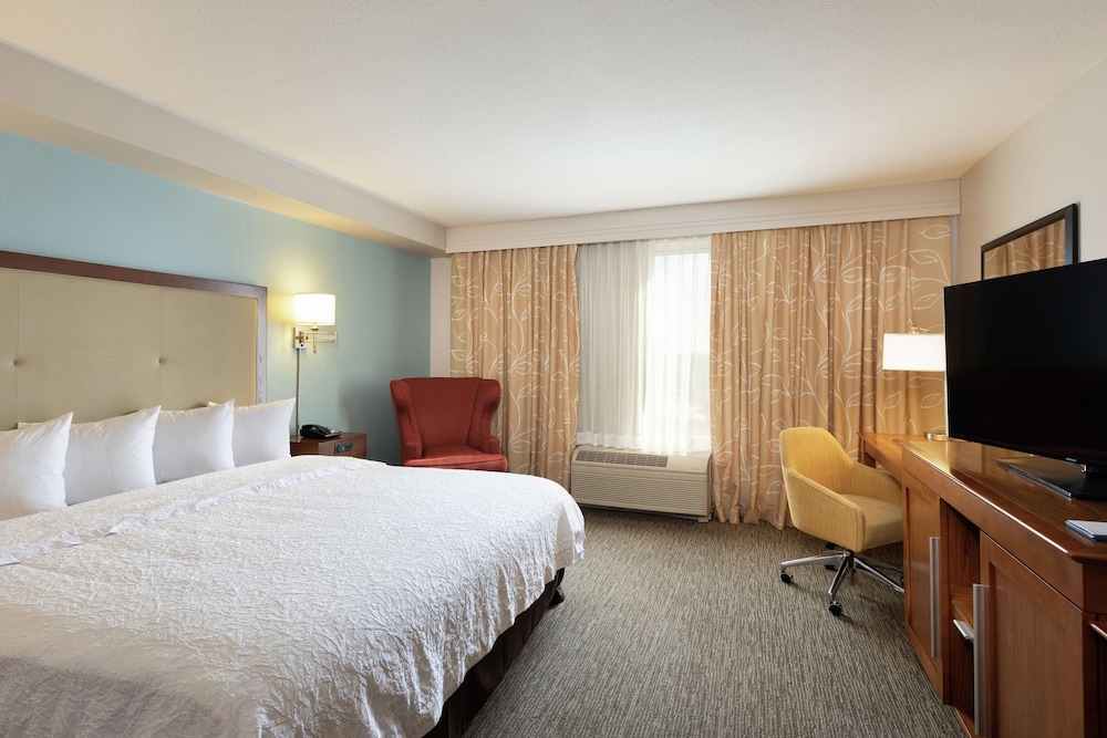 Hampton Inn & Suites Austin Airport - photo 16
