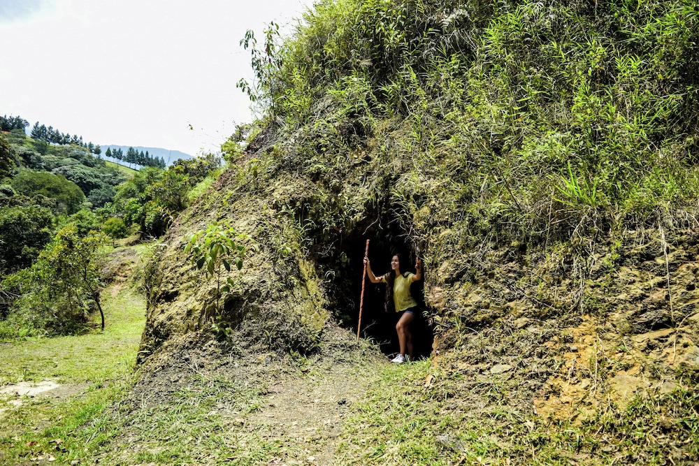 Bosque El Descanso — Jamundi