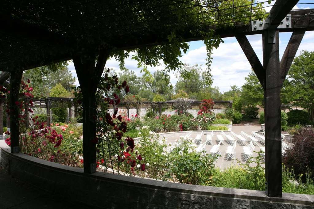 Rocklin Park Hotel Trademark Collection by Wyndham - photo 52