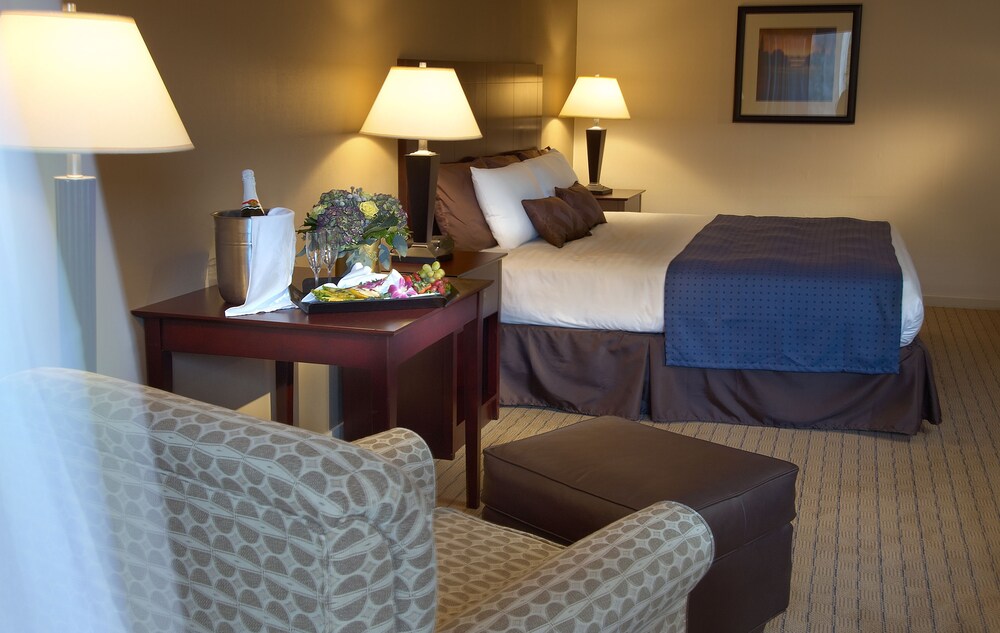 Nichols Village Hotel - photo 7