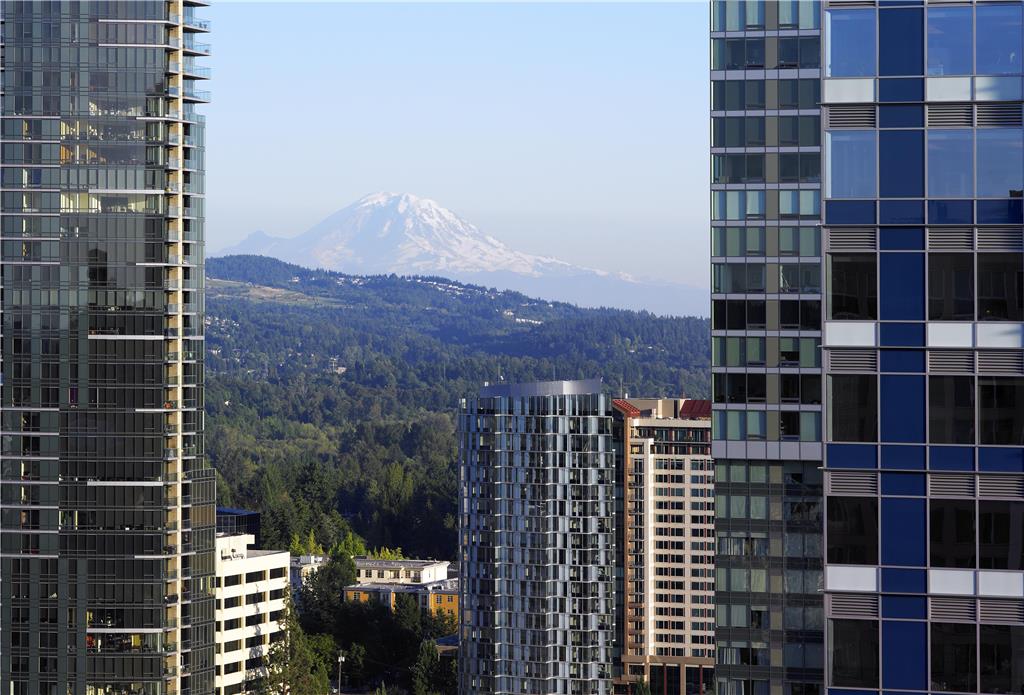 Hyatt Regency Bellevue - photo 20