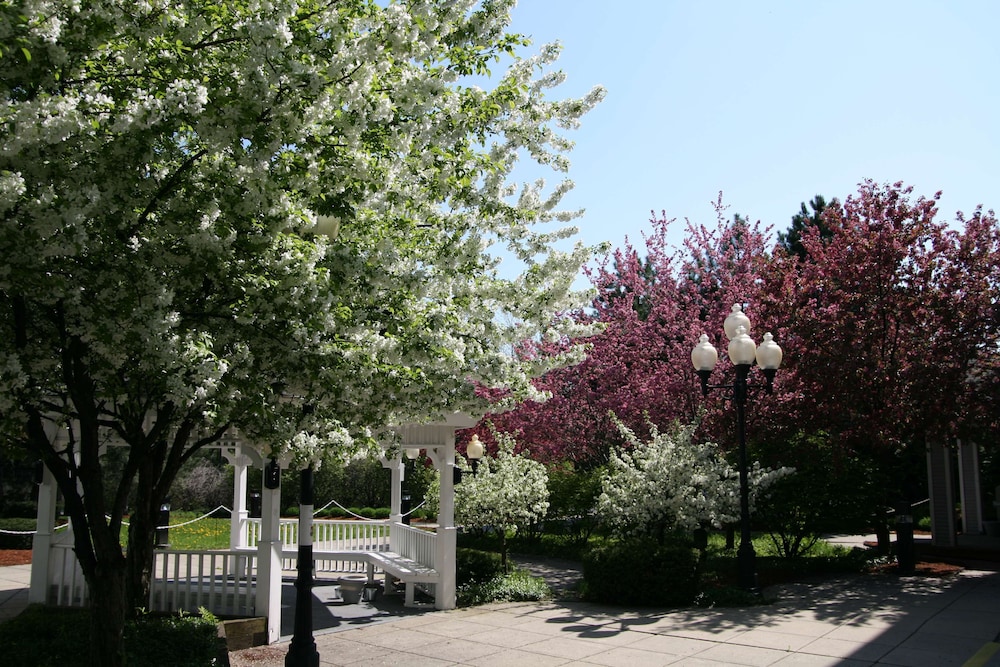 Hampton Inn Colchester - photo 33