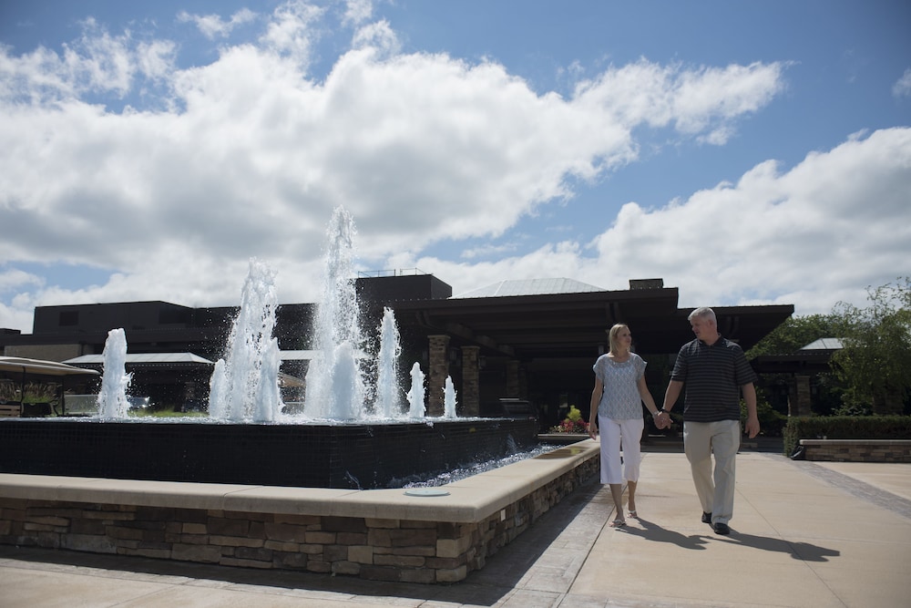 Grand Geneva Resort & Spa - photo 95