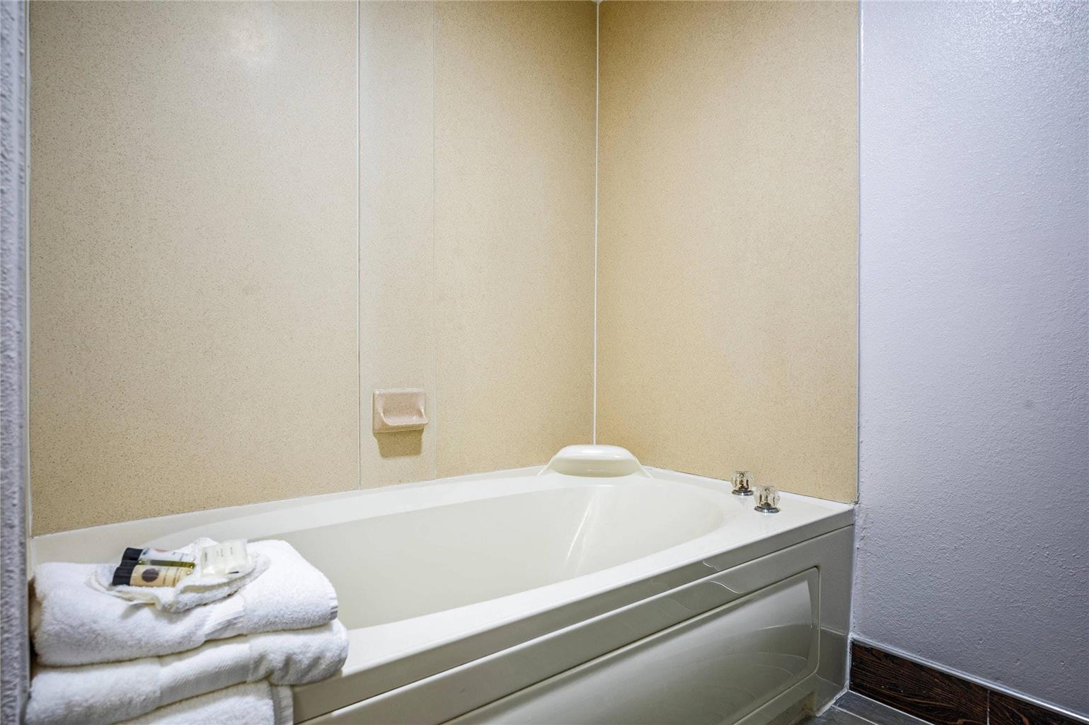 The Leo Collection Detroit an Ascend Collection Hotel - photo 23