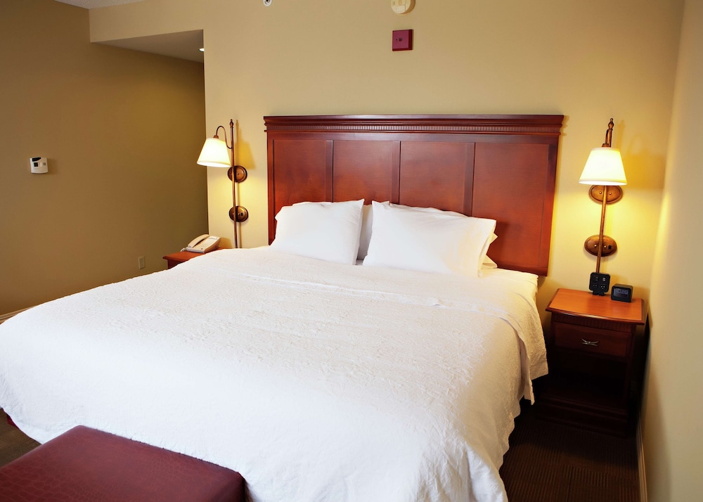Hampton Inn Martin - photo 9
