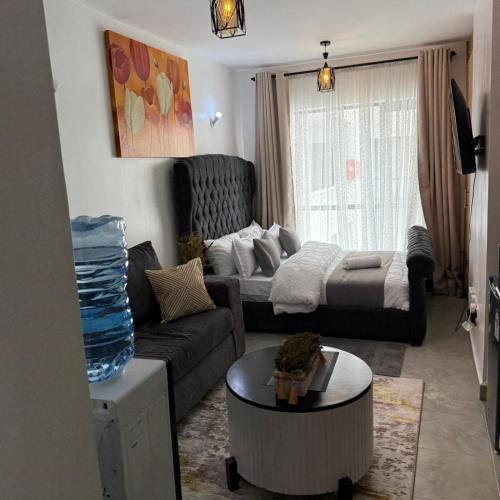 Amu Cozy Studio Apartment In Fedha Nairobi