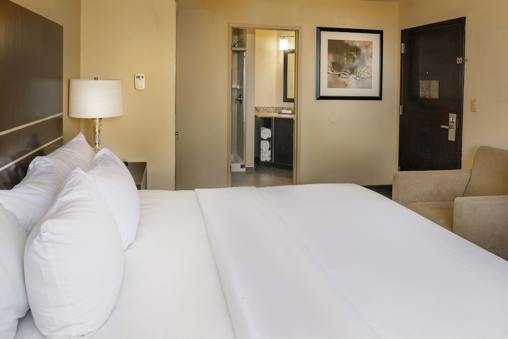 Embassy Suites by Hilton St. Louis Airport - photo 23
