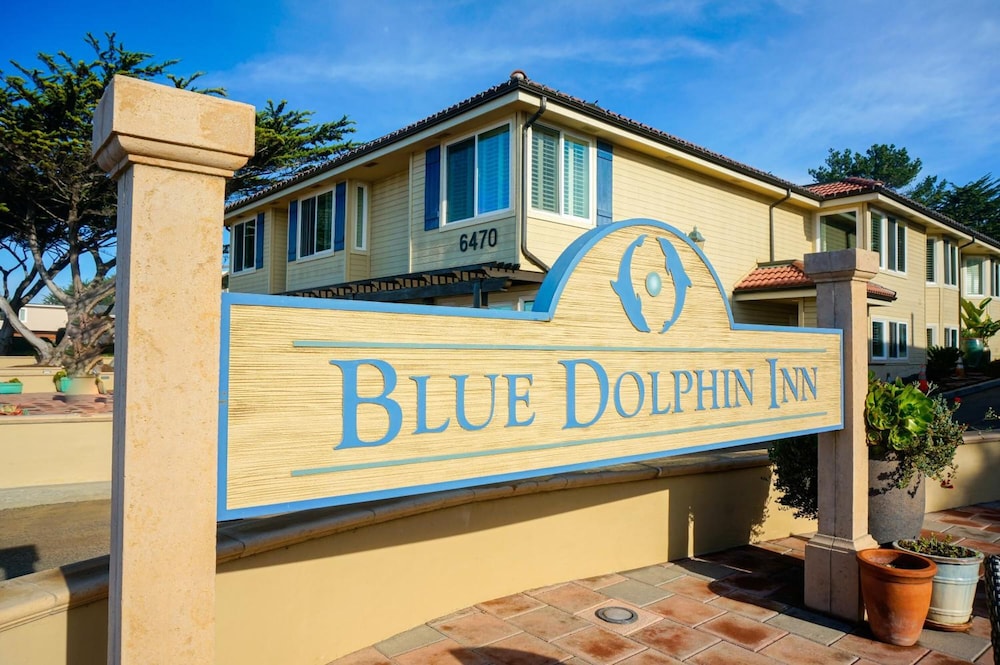 Blue Dolphin Inn - photo 62