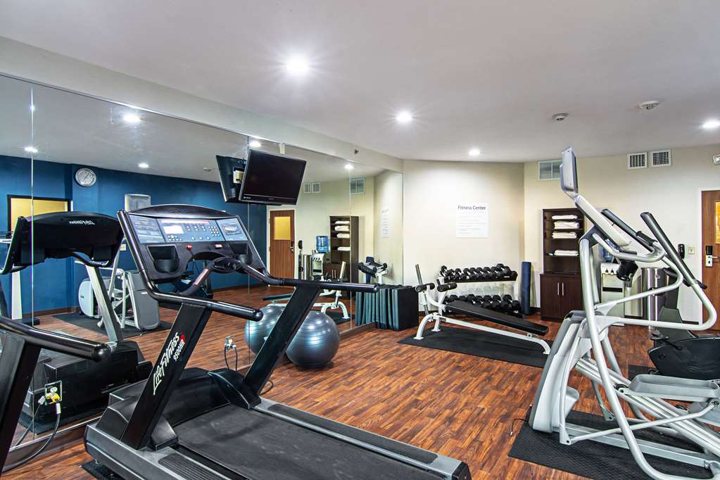 Comfort Suites NW Dallas Near Love Field - photo 42