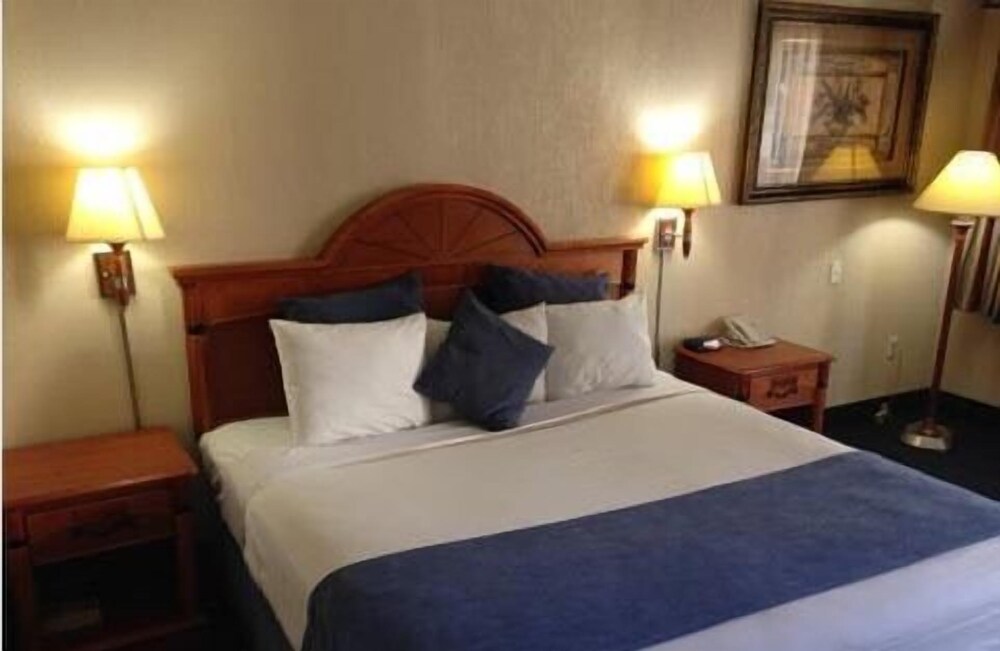 Downtowner Inn and Suites Hobby - photo 8