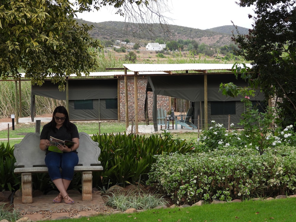 Schoemanshoek Glamping in Oudtshoorn, South Africa