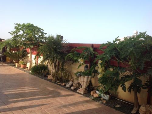 Carolyn Villa is a Luxury 4 Bedroom Villa with Private Pool in Ayia Napa