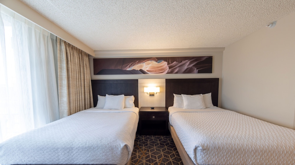 Embassy Suites by Hilton Phoenix Biltmore - photo 8