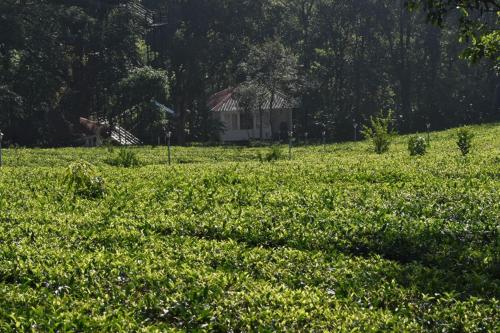 Orma farm resorts - last minute hotel in Unknown City