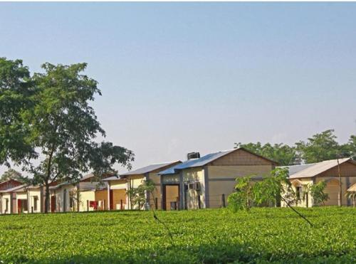 The Mystic Forest A Tea Garden Resort — Koch Bihar