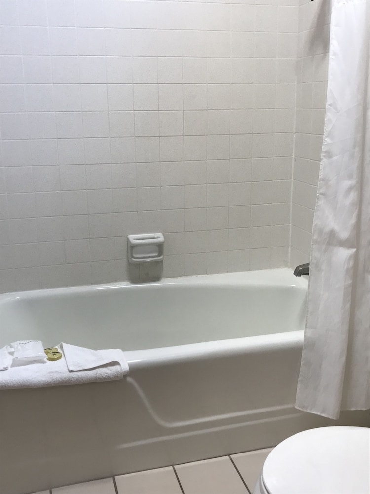 Olive Tree Inn & Suites by Howard Johnson WYNDHAM - photo 23