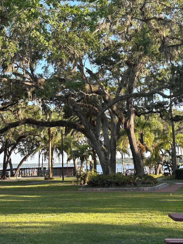 Tropical Resort & Marina on Lake Beresford - photo 26