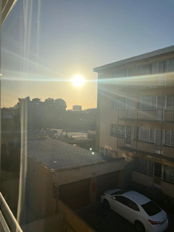 Parow Palms