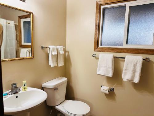 Regency Inn Hudson - photo 13