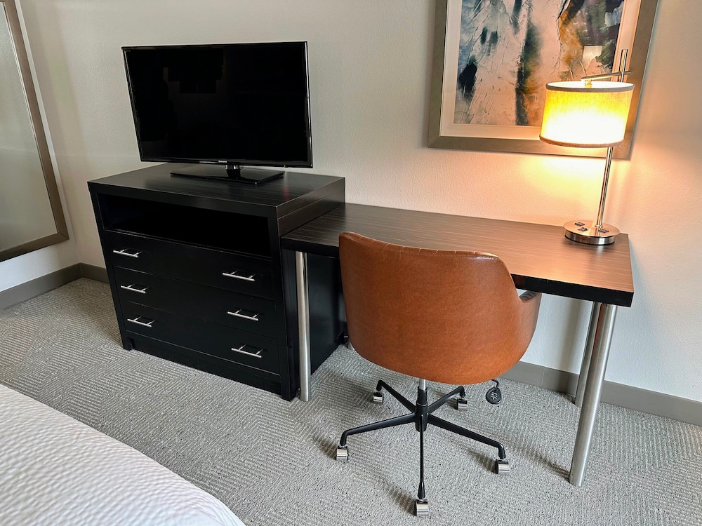 Holiday Inn Carlsbad by IHG - photo 17