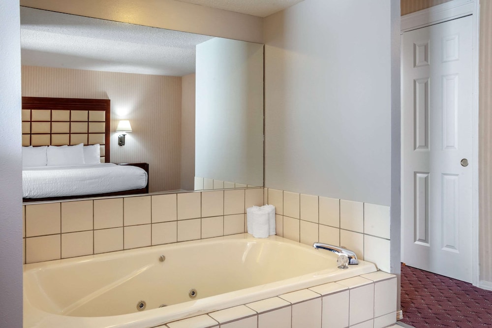 Wintergreen Hotel & Conference Center - photo 44