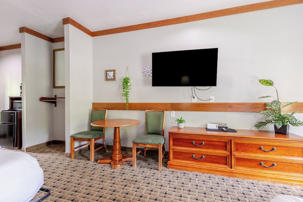 Qualla Cabins and Motel Cherokee near Casino - photo 25
