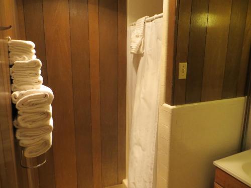 Alamo Inn - photo 24