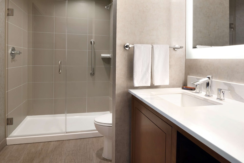 Embassy Suites by Hilton Chicago Naperville - photo 13